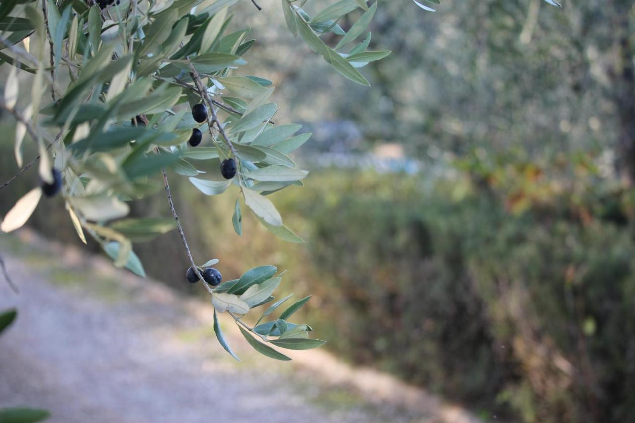 Casa di campagna Rondini Blu